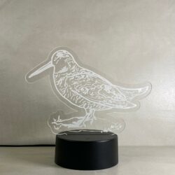 Lampada Beccaccia Woodcock con Scritta Personalizzata Regplex Base LED RGB - immagine 3