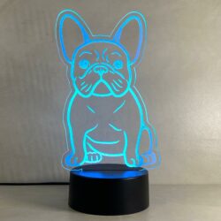 Lampada Bull Dog Francese con Scritta Personalizzata Regplex Base LED RGB - immagine 5