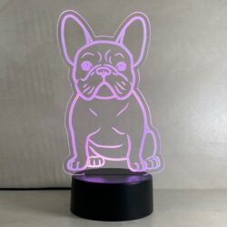 Lampada Bull Dog Francese con Scritta Personalizzata Regplex Base LED RGB - immagine 9