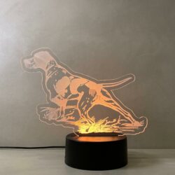 Lampada Pointer cane da caccia con Scritta Personalizzata Regplex Base LED RGB - immagine 3