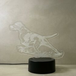 Lampada Pointer cane da caccia con Scritta Personalizzata Regplex Base LED RGB - immagine 4