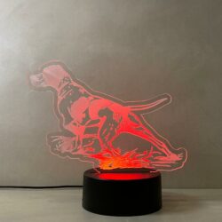 Lampada Pointer cane da caccia con Scritta Personalizzata Regplex Base LED RGB - immagine 6