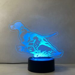 Lampada Pointer cane da caccia con Scritta Personalizzata Regplex Base LED RGB - immagine 8