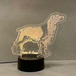 Lampada Setter cane da caccia con Scritta Personalizzata Regplex Base LED RGB - immagine 3
