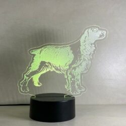 Lampada Setter cane da caccia con Scritta Personalizzata Regplex Base LED RGB