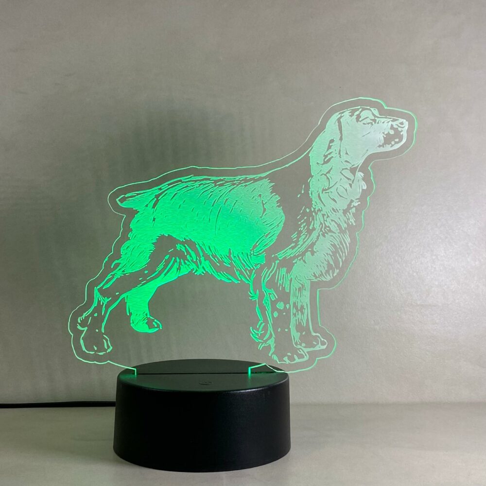 Lampada Setter cane da caccia con Scritta Personalizzata Regplex Base LED RGB - immagine 5
