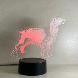 Lampada Setter cane da caccia con Scritta Personalizzata Regplex Base LED RGB - immagine 6