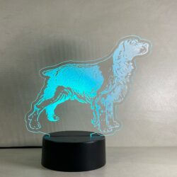 Lampada Setter cane da caccia con Scritta Personalizzata Regplex Base LED RGB - immagine 8