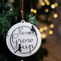 Pallina di Natale con personaggio Disney - Peter Pan Regplex in Plexiglas PN-25 - immagine 2