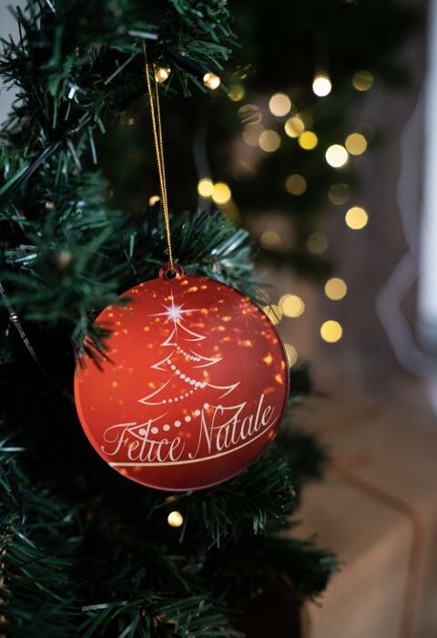 Pallina di Natale rossa con stampa Albero di Natale Regplex in Plexiglas PN-34
