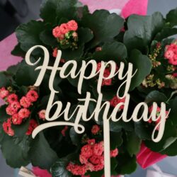 Top Cake scritta Happy Birthday in Plexiglas Regplex Decorazione per Torta - immagine 2