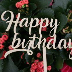 Top Cake scritta Happy Birthday in Plexiglas Regplex Decorazione per Torta - immagine 3